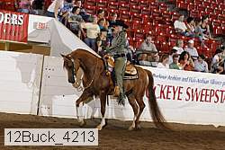 12buck_4213 proof