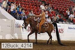 12buck_4214 proof