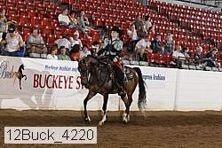 12buck_4220 proof