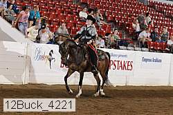 12buck_4221 proof