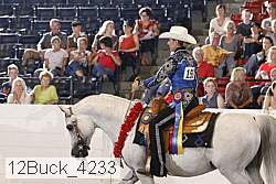 12buck_4233 proof