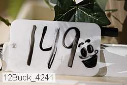 12buck_4241 proof