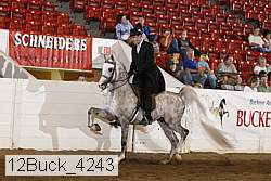 12buck_4243 proof