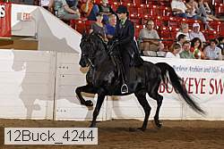 12buck_4244 proof