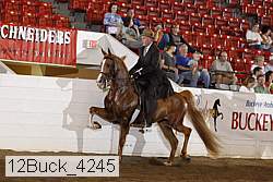 12buck_4245 proof