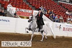 12buck_4250 proof