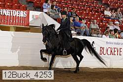 12buck_4253 proof