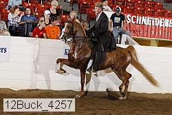 12buck_4257 proof