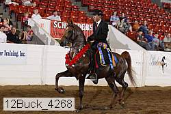12buck_4268 proof