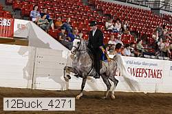 12buck_4271 proof