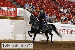 12buck_4272 proof
