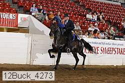 12buck_4273 proof