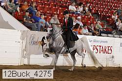 12buck_4275 proof