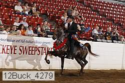 12buck_4279 proof