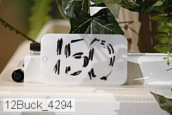 12buck_4294 proof