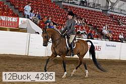 12buck_4295 proof