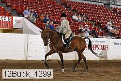 12buck_4299 proof