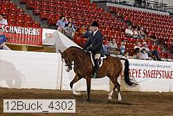 12buck_4302 proof