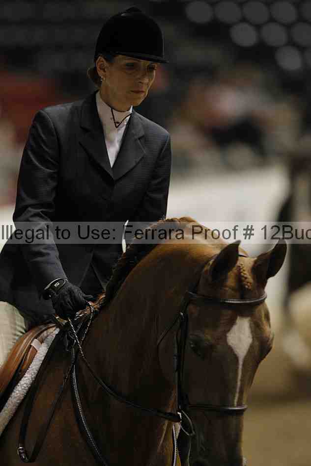 Proof 12buck_4306