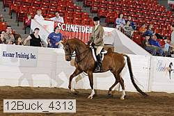 12buck_4313 proof