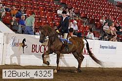 12buck_4325 proof