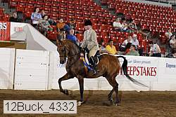 12buck_4332 proof