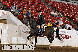 12buck_4338 proof