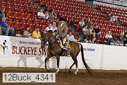 12buck_4341 proof