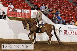 12buck_4342 proof