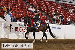 12buck_4351 proof