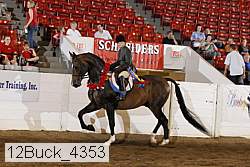12buck_4353 proof