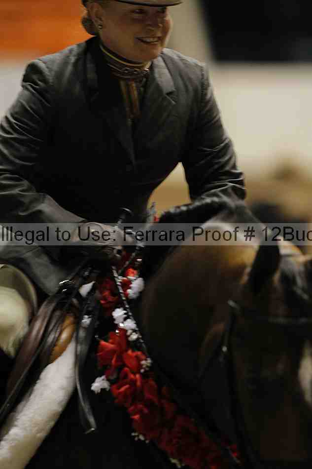 Proof 12buck_4360