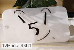 12buck_4361 proof