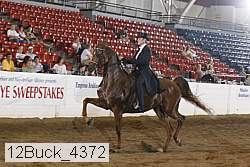 12buck_4372 proof