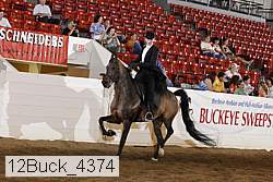 12buck_4374 proof