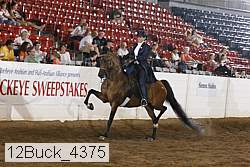 12buck_4375 proof