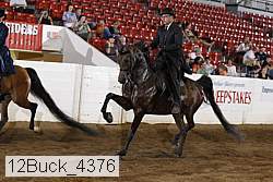 12buck_4376 proof