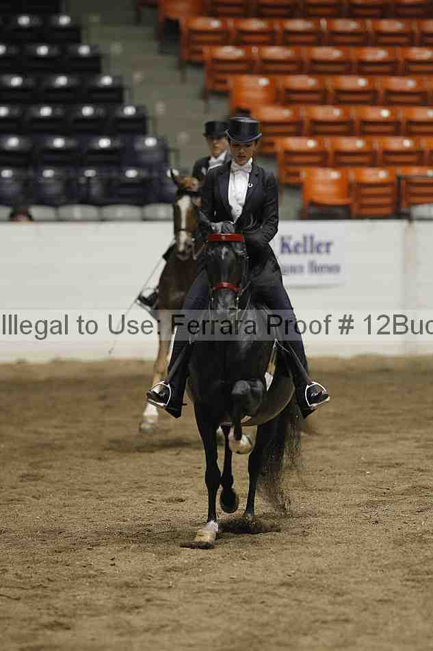 Proof 12buck_4378