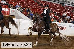 12buck_4382 proof