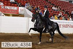12buck_4384 proof