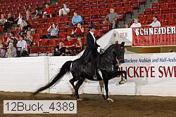 12buck_4389 proof