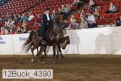 12buck_4390 proof