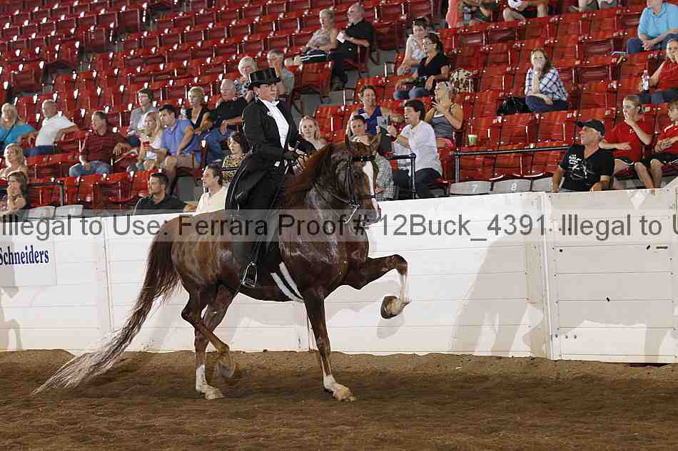 Proof 12buck_4391