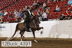 12buck_4391 proof