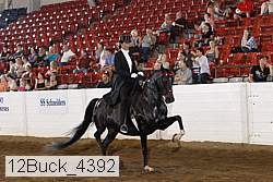 12buck_4392 proof