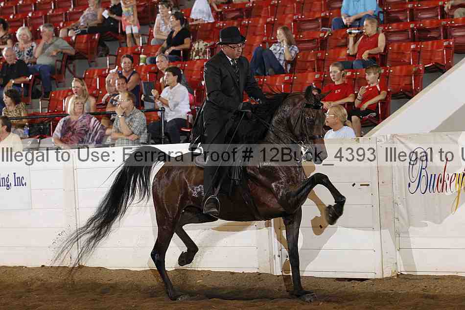 Proof 12buck_4393