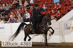 12buck_4393 proof