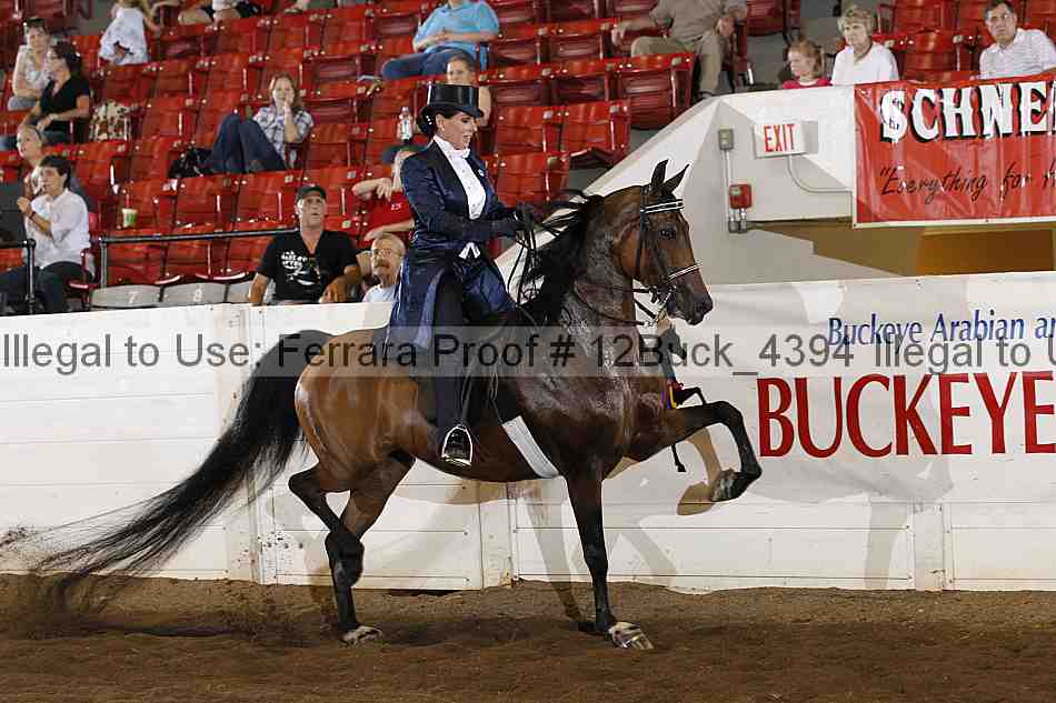 Proof 12buck_4394