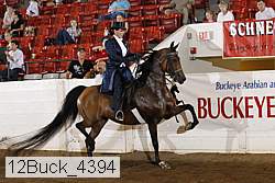 12buck_4394 proof