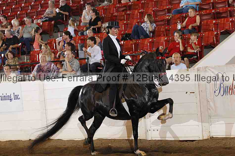 Proof 12buck_4395